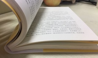 进口方融资是什么意思 进口方融资介绍