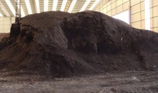 牛粪的用途与经济价值 牛粪的用途与经济价值介绍