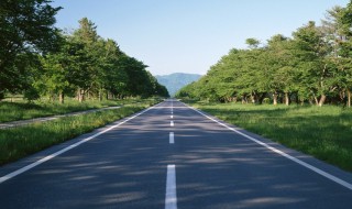 y是什么道路编号 道路编号介绍