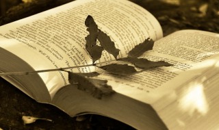 抽屉协议是什么意思 抽屉协议介绍