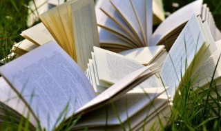 贸易顺差是什么 贸易顺差介绍