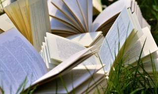 什么叫结算业务 结算业务介绍