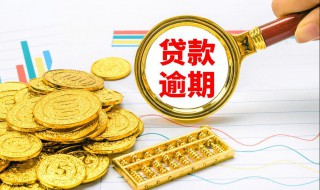 短期借贷有哪些 短期借款有哪些类型