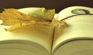 不客气是什么意思 不客气的解释