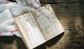 释放的意思 释放是什么意思