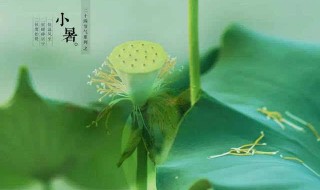 2021小暑节气的禁忌 2021小暑节气的禁忌简单介绍