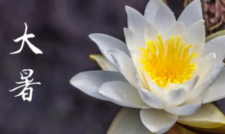 2021年大暑多少天 2021年大暑是什么时候