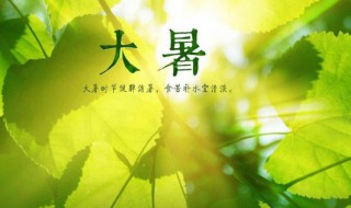 大暑节气如何养生 大暑节气养生注意事项