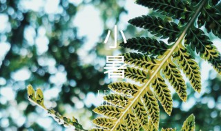 节气小暑是什么意思? 节气小暑的含义