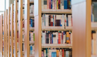 杏坛是什么意思 杏坛意思是什么