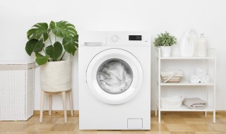 如何清洗洗衣机滚筒 清洗洗衣机滚筒的做法