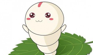 怎么养蚕宝宝才不会死? 蚕宝宝怎么养才不会死?