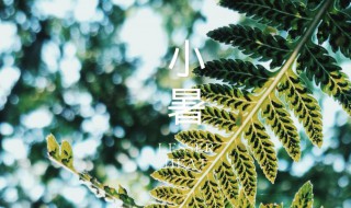 关于小暑的传说 小暑的传说有哪些