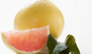 柚子开花要怎么处理才会结果? 柚子开花要如何处理才会结果?