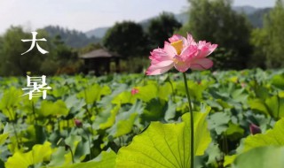 2021年大暑民间活动 2021年大暑民间活动有哪些