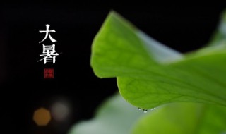 大暑到祝福深深 大暑到祝福深深文案