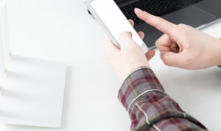 小森生活如何圈养动物? 小森生活怎么圈养动物?