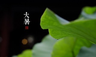 大暑的时间代表什么 大暑的时间代表了啥