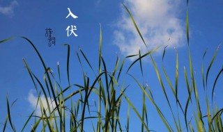 头伏是几月几号2021年 2021年头伏是几月几号