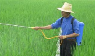 野老除草剂使用方法? 野老除草剂怎么使用