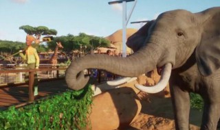 动物园之星如何养猪? 动物园之星养猪的方法