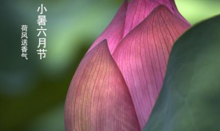 小暑节气的传说 小暑节气的传说有什么