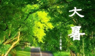 2022年大暑时间几点几分几秒 2022年大暑是什么时候