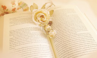 lead什么意思 lead指的是什么