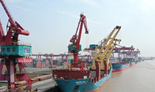 pod是什么意思 pod的含义