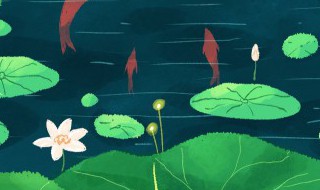 大暑习俗你知多少? 大暑习俗你知哪些?