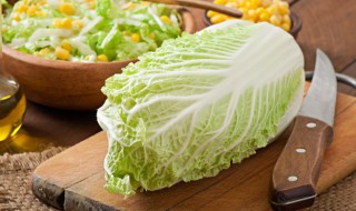 豆腐白菜的做法 豆腐白菜的烹饪方法