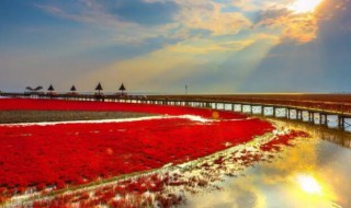 国家的实质是 国家的实质介绍