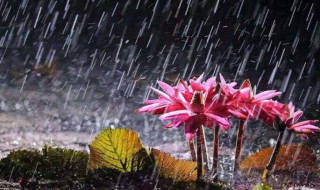 安徽梅雨季节是几月份 安徽梅雨季节是多少月份