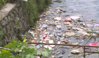 水体污染的四个危害 水体污染的简介