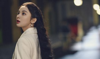 电视剧十二谭大结局 电视剧十二谭简介