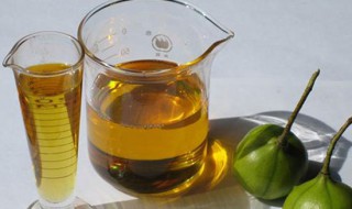 桐油的用途 桐油的用途简单介绍