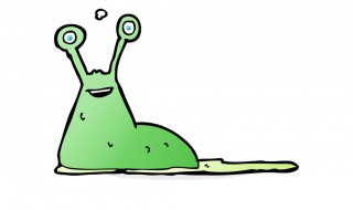 鼻涕虫是害虫还是益虫 鼻涕虫是害虫吗