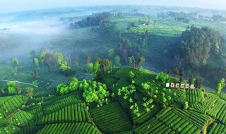 四川气候特点 四川气候特点是什么