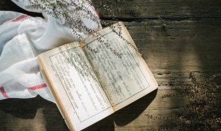 玄言诗名词解释 玄言诗的解释