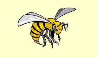 梦见马蜂是什么意思 梦见马蜂预示着什么