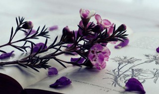 盈余公积包括的项目有 盈余公积包括的项目内容