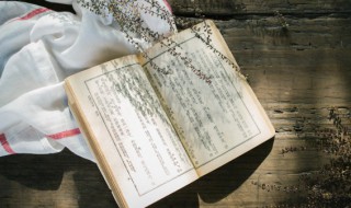 古诗风李峤带拼音解释 李峤的古诗风全文带拼音