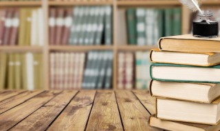 内环境名词解释 内环境的解释