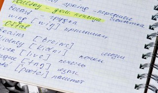 what is he like什么意思 what is he like的意思