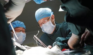 吴孟超事迹简介 吴孟超事迹介绍