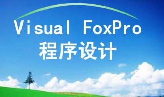 vf是什么意思 vf简介