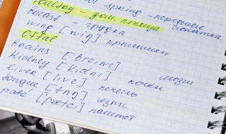 america是什么意思 america什么意思