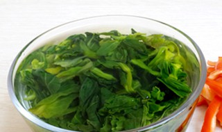 吃万年青菜干禁忌 吃万年青菜干禁忌是什么