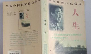 小说人生简介 小说人生简介是什么