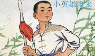 小英雄雨来作者简介 小英雄雨来作者简介内容